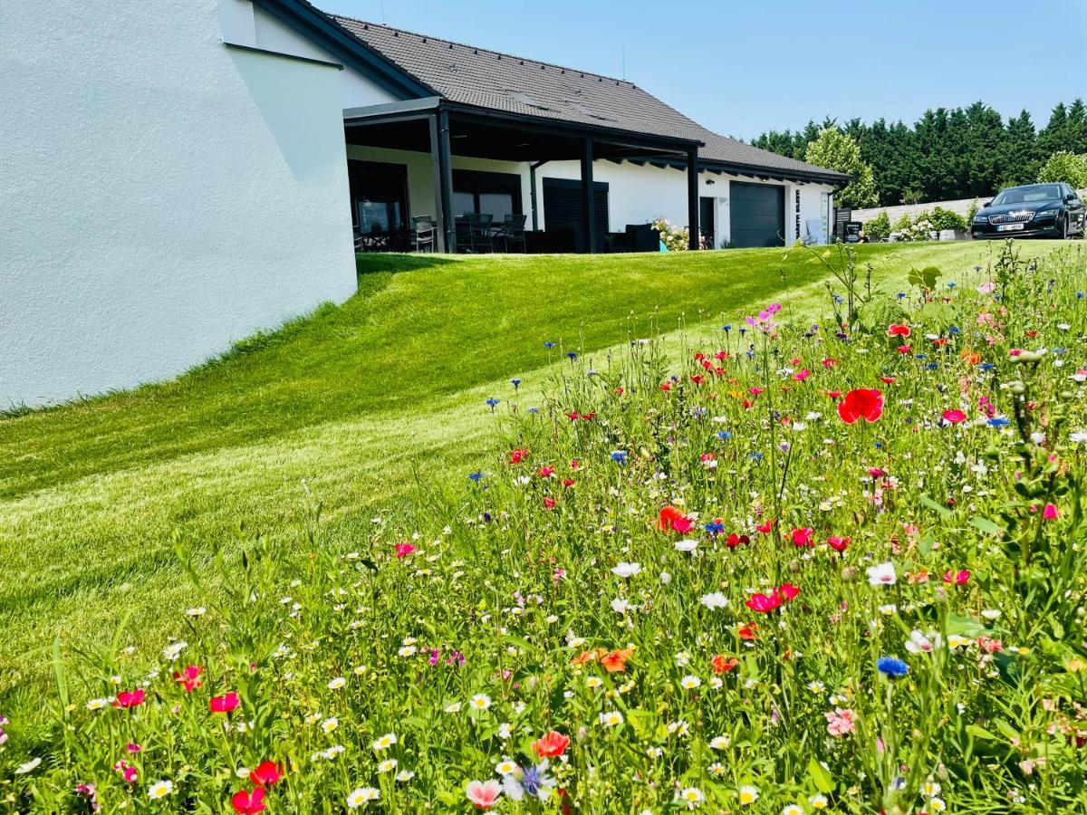 Penzion Vinarstvi Bilkovi Velké Bílovice Exteriör bild